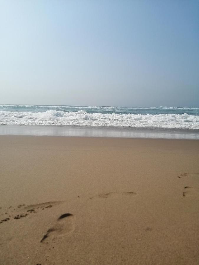 Dromedaris Amanzimtoti Exterior foto